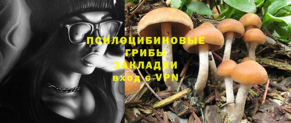 не бодяженный Гусь-Хрустальный