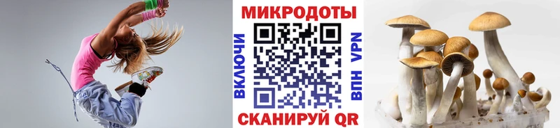 блэк спрут ССЫЛКА  Чебоксары  Псилоцибиновые грибы ЛСД 